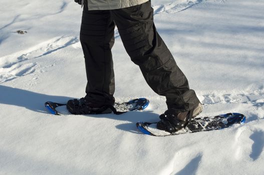 Winter activity: walking on the snow.