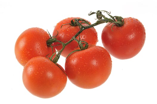 fresh five red tomatoes with drops of water isolated on white