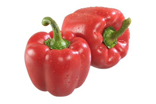 Two red paprika on white background