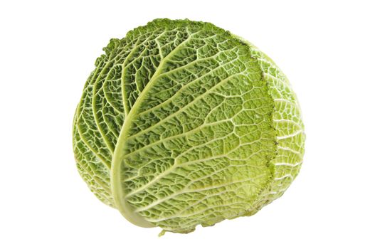 A head of cabbage isolated on a white background