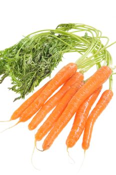 Bunch of baby carrots, isolated on white.