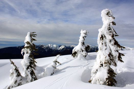 Winter In Coast Mountains, British Columbia, Canada. View From The Top Of Mount Seymour Near Vancouver