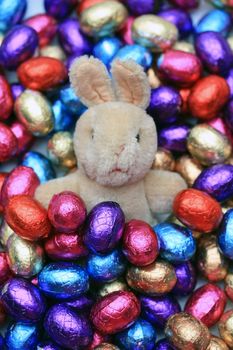 A small easter bunny in a group of chocolate easter eggs