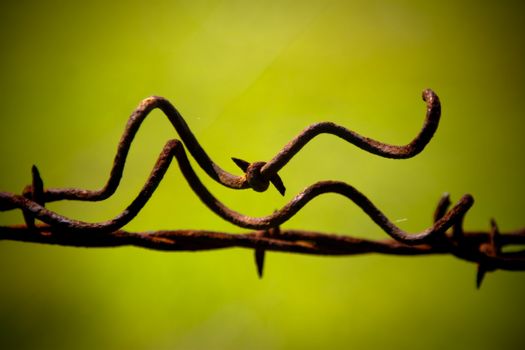 Macro of strung twisted barbed wire against a green field
