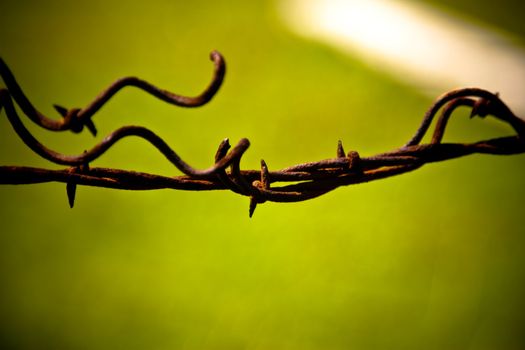 Macro of rusty barbed wire, green field background deeply out of focus