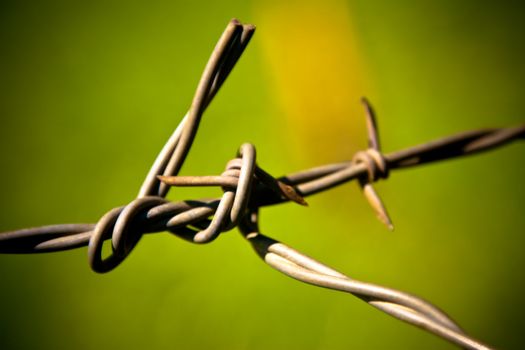 Macro of fencing wire against deeply out of focus green grass, focus on left of wire knot