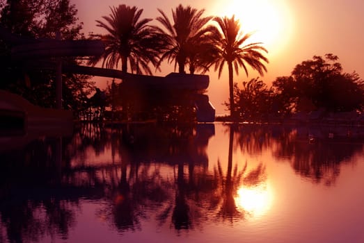 sunrise over palms in summer resort, Turkey