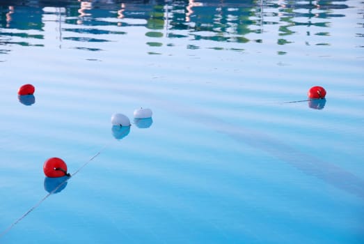 water surface in cyan swimming pool with floats