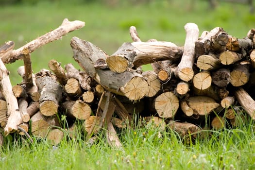 wood