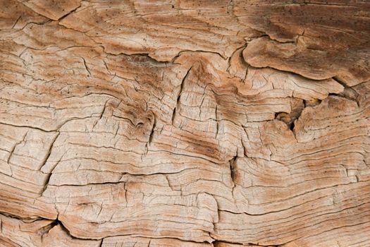 old wood background