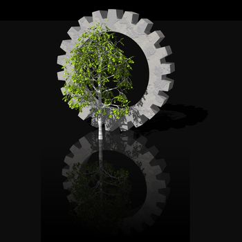 gearwheel and birch tree on black background - 3d illustration