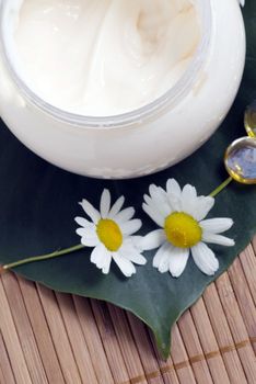 Chamomile and face cream - natural body-care