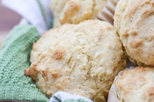 Macro of freshly made corn muffins. Shallow DOF. 