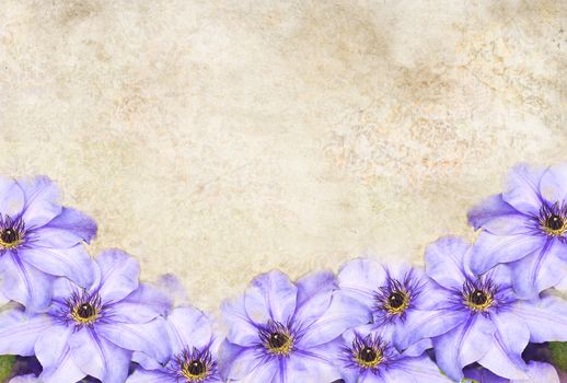 Photo based illustrated background with purple Clematis flowers. 