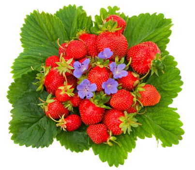 close-up of ripe strawberries on leafs, isolated over white background