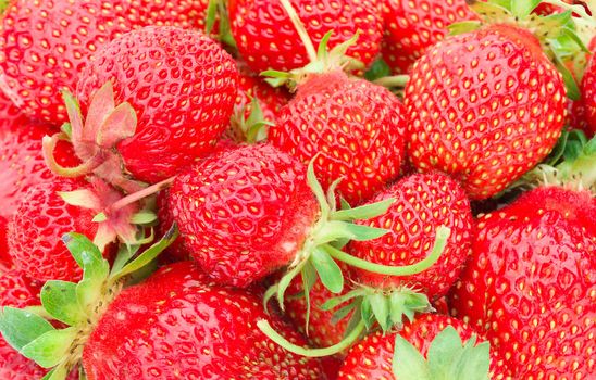 close-up of ripe strawberries