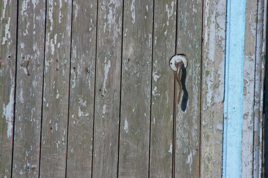 Aged door handle on wooden entrance door