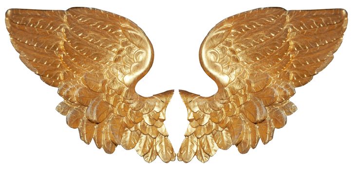 Isolated golden angel wings on white background