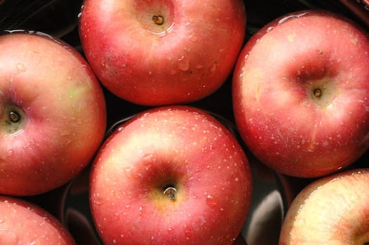 Fresh red apples floating on water in container