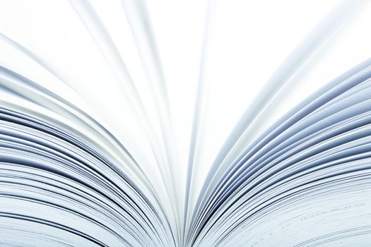 Macro of a open book with pages turning- selective focus