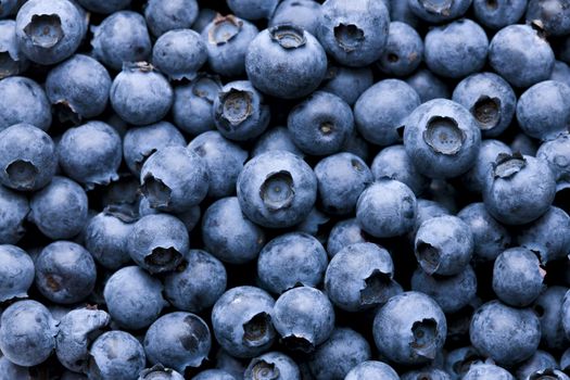 Close-up of delicious fresh blueberries filling the frame