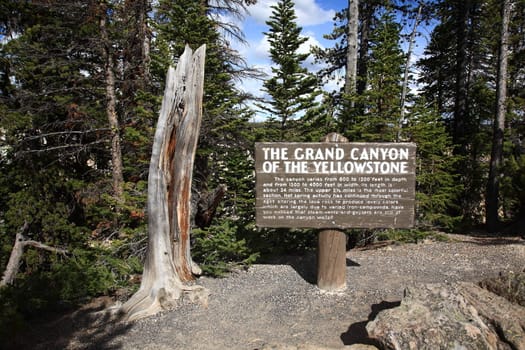 Rustic wooden sign near Grand Canyon of Yellowstone