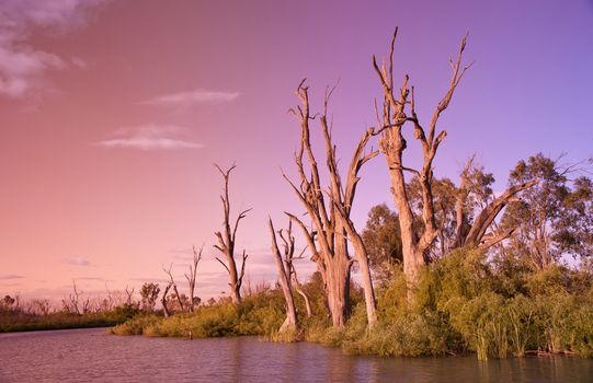 beautiful image of sunset on the river murray south australia