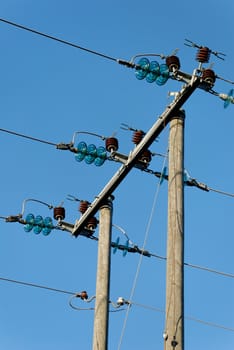 Three power lines, fixed horizontally on a tree pylon
