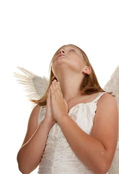 young angel girl praying isolated on white