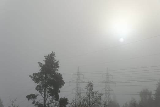 The Sun shining through the mist, which also obscures power pylons and a pine tree.
