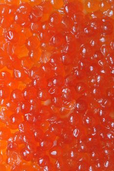 Fresh red caviar closeup as a background