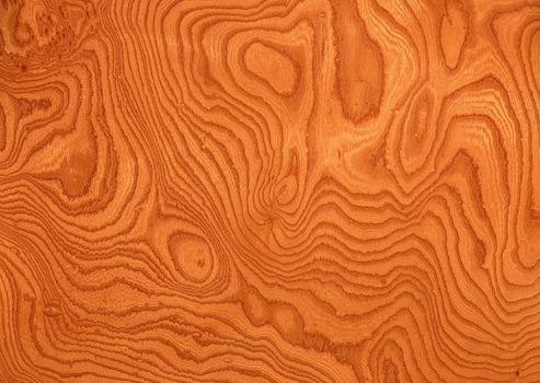 Close-up wooden texture to background