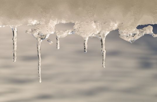 Icicles with back light