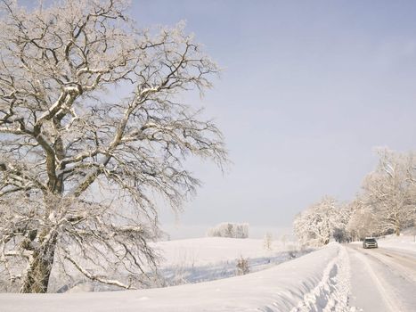 Winterview with a car on the road