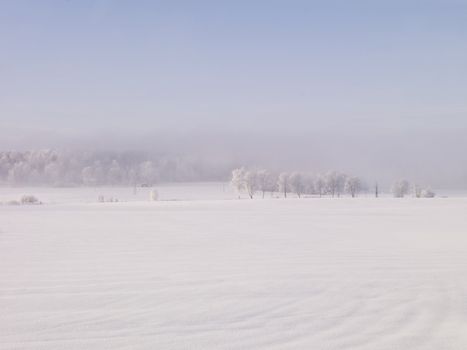 Winter landscape with fog