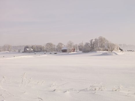 Farm at winter landscape