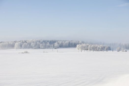 Snowy winter landscape