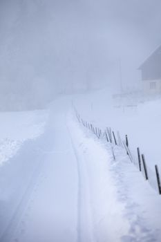 Winter road with fog