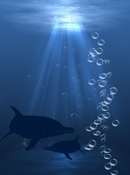 Underwater Light with fish
