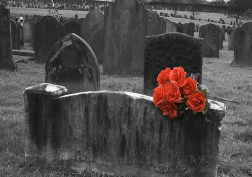 Blank headstone in graveyard with bunch of red roses