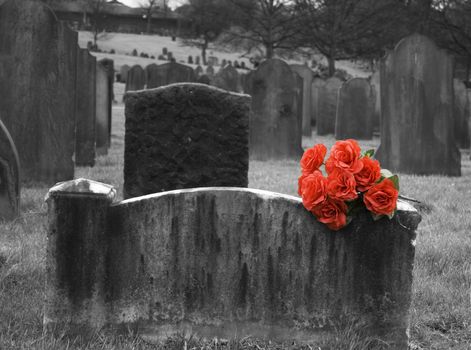 Blank headstone in graveyard with bunch of red roses
