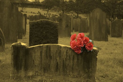 Blank headstone in graveyard (sepia) with bunch of red roses