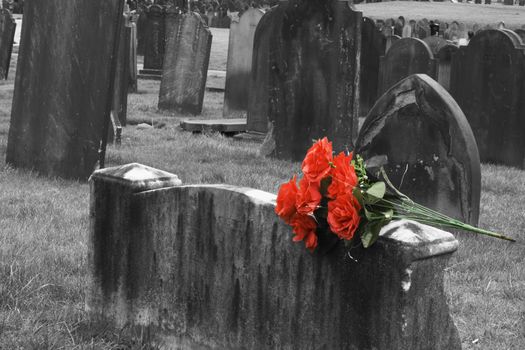 Blank headstone in graveyard with bunch of red roses