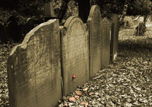 Sepia shot of a row of headstones in graveyard with a single red rose