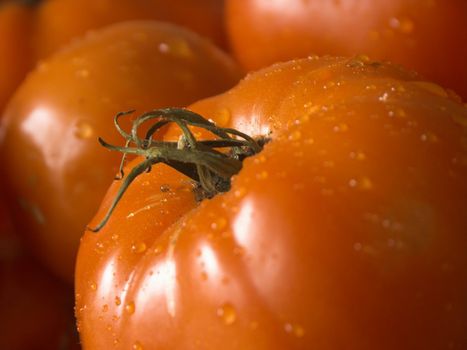 closeup of a wet tomatoe