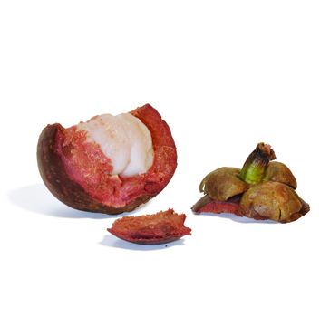 Opened Mangosteen fruit with shadows on completely white background