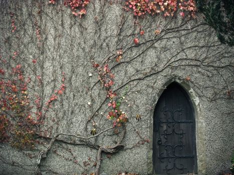 old mysterious door
