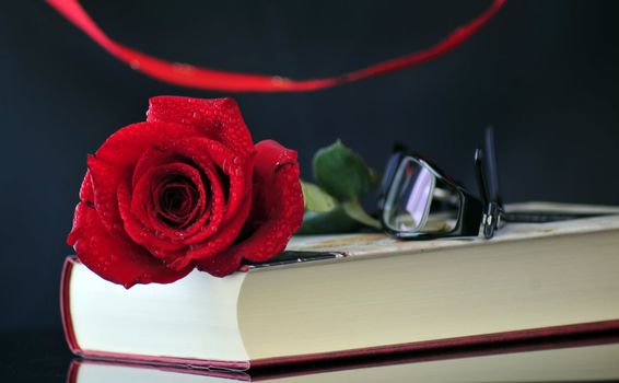 lovely romantic set-up with red rose and a good book