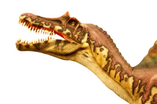 Head of vicious dinosaur as isolated object
