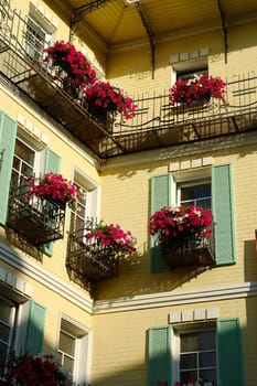 Row of windows with red flowers and green shutters
